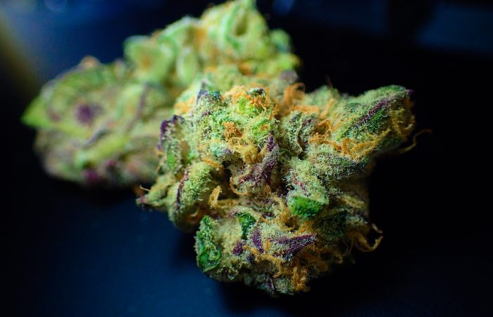 bud, cannabis, close up-3801028.jpg